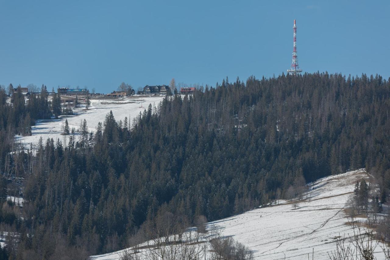 Rent Like Home - Orkana IX Zakopane Buitenkant foto